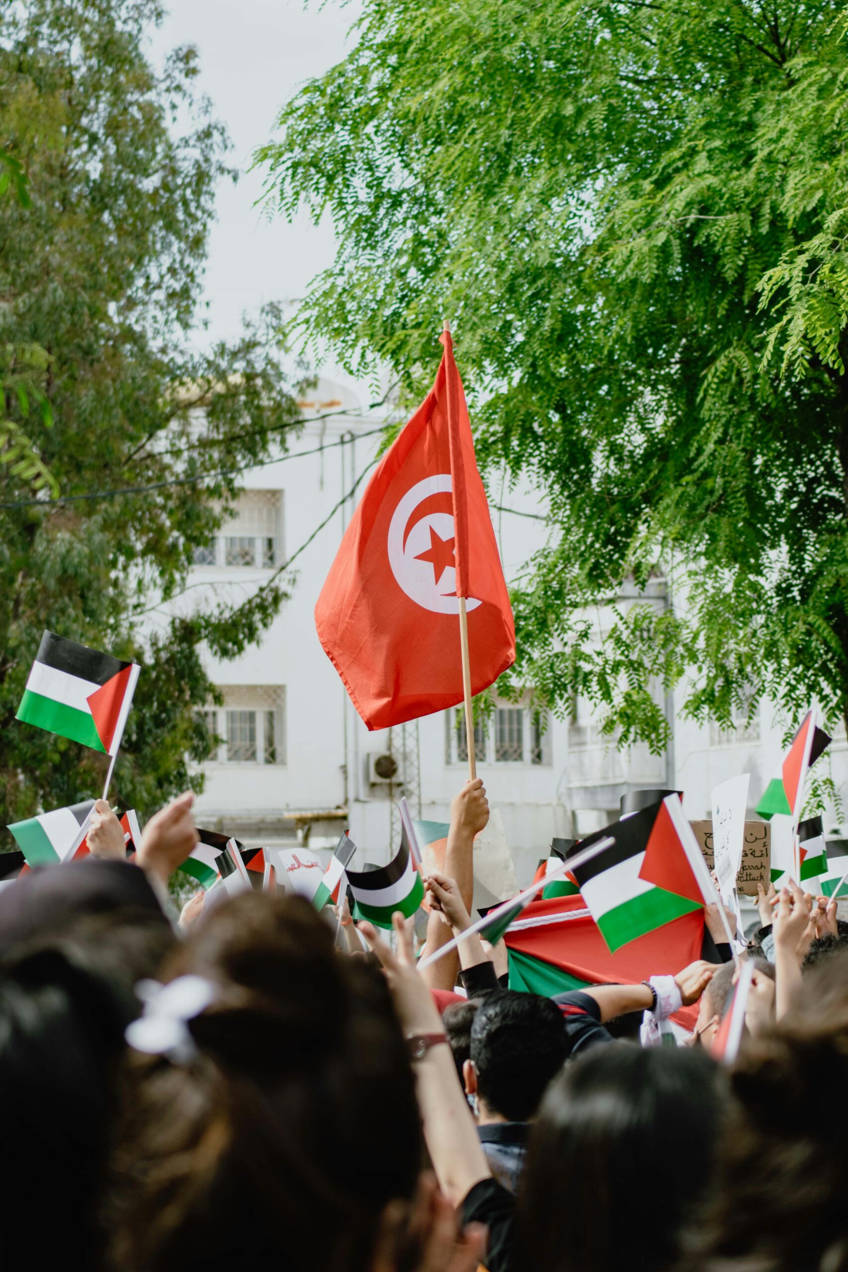 Projet Tunisie